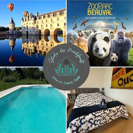 Francueil Studio Proche Beauval Et Chateaux De La Loire מראה חיצוני תמונה