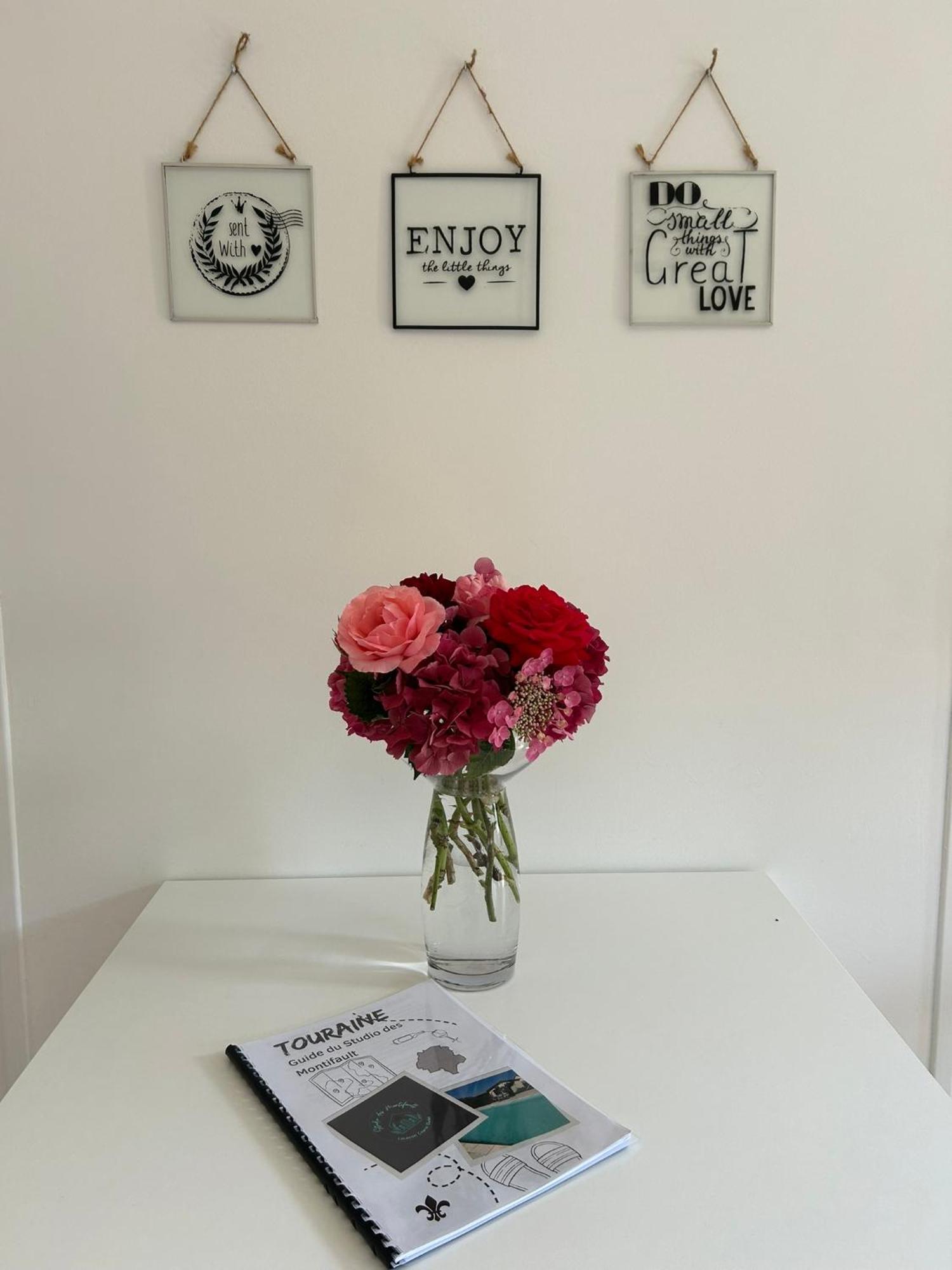 Francueil Studio Proche Beauval Et Chateaux De La Loire מראה חיצוני תמונה