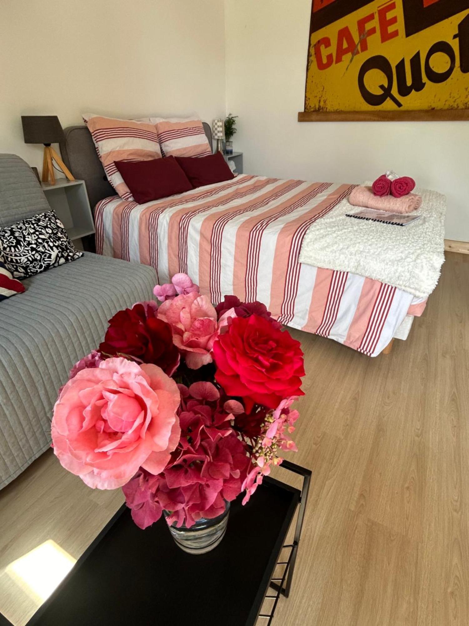 Francueil Studio Proche Beauval Et Chateaux De La Loire מראה חיצוני תמונה