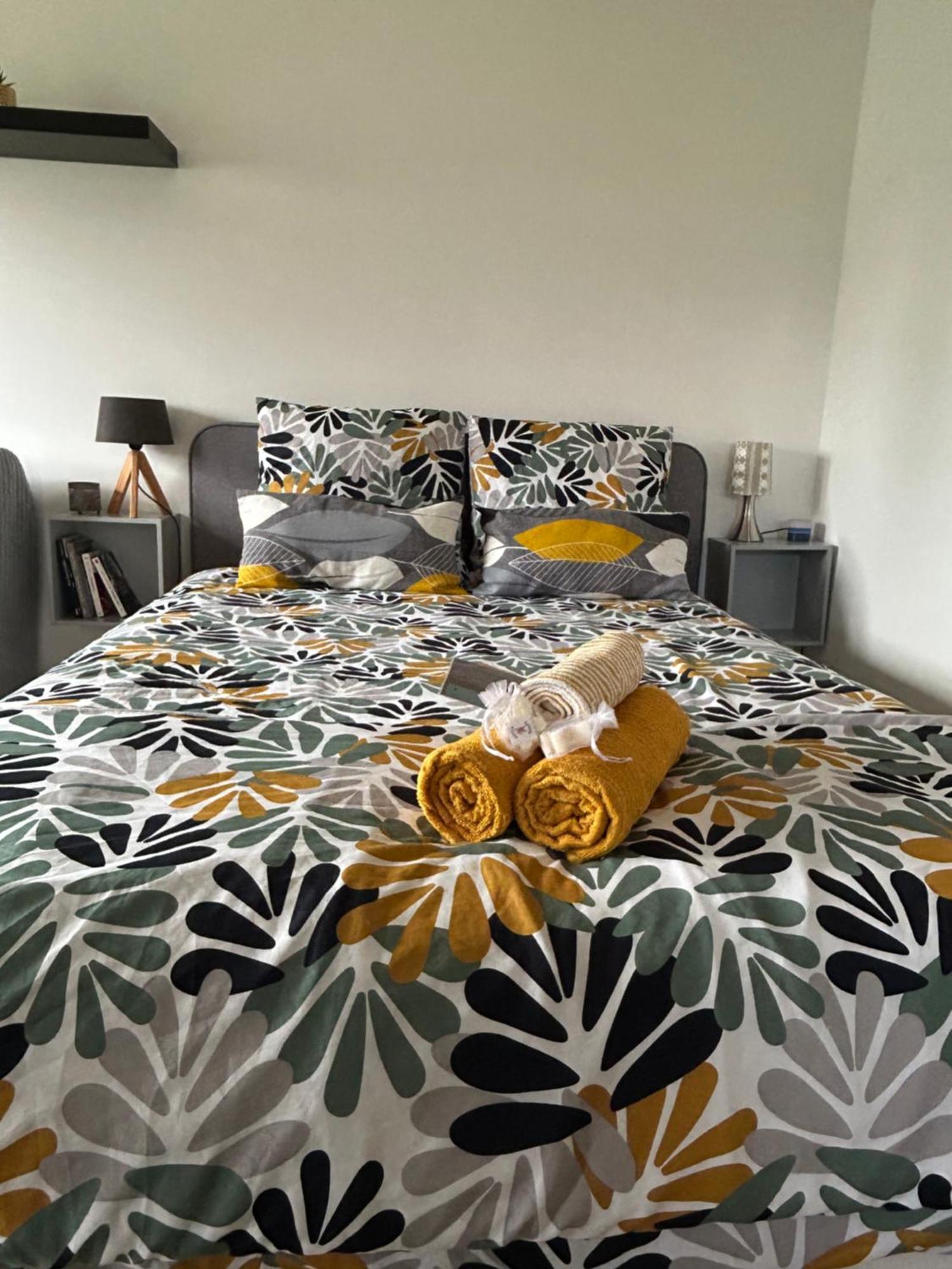 Francueil Studio Proche Beauval Et Chateaux De La Loire מראה חיצוני תמונה